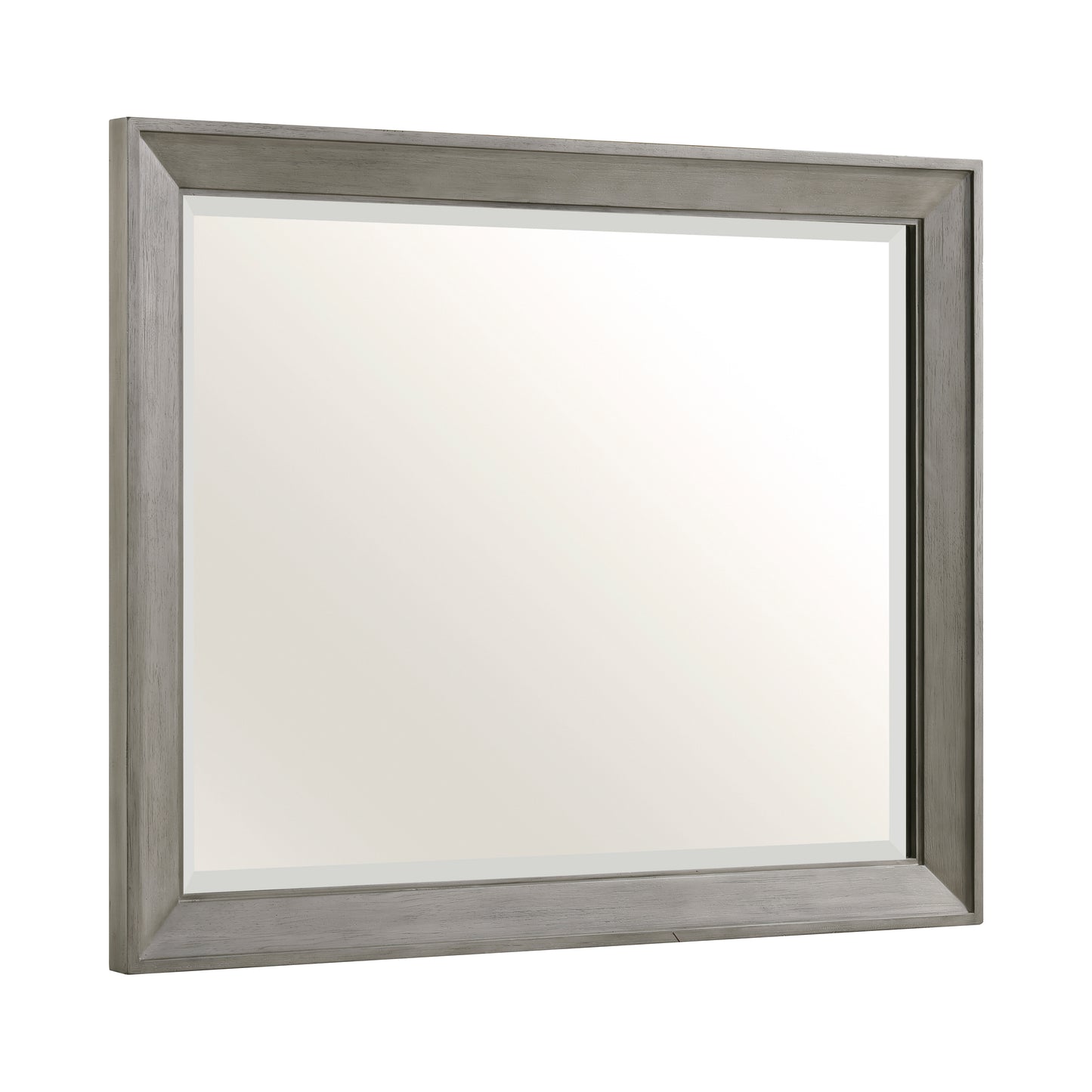 1305-6 - Mirror