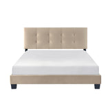 1350BR-1 - Queen Platform Bed