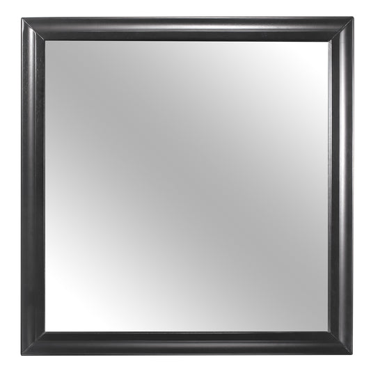1517-6 - Mirror