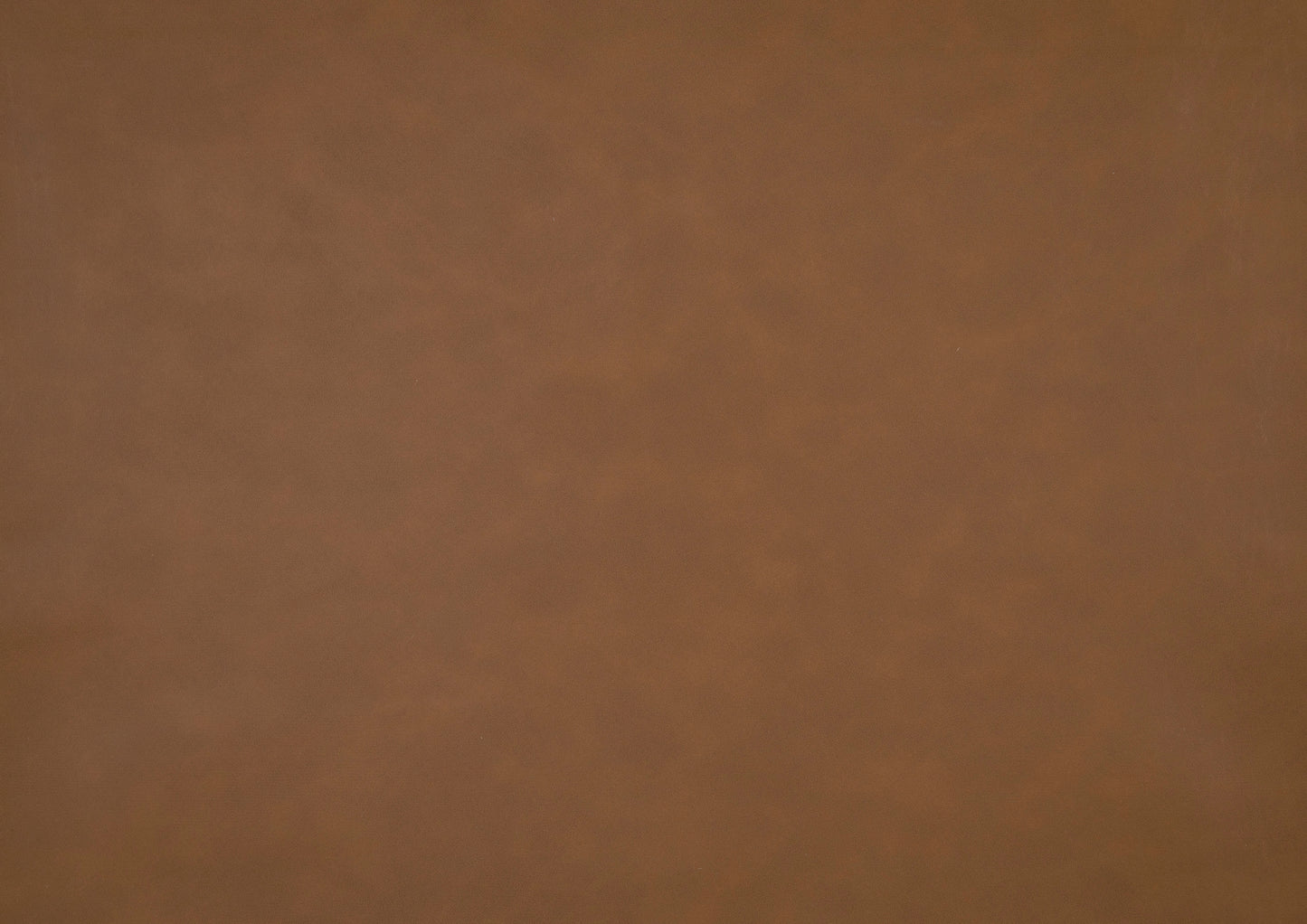 9730CAM-3CL - Elegant Lounger