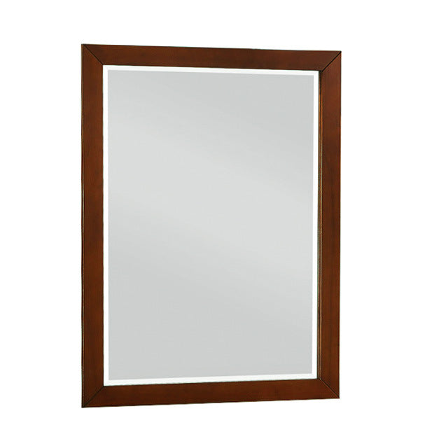 B2013DC-6 - Mirror
