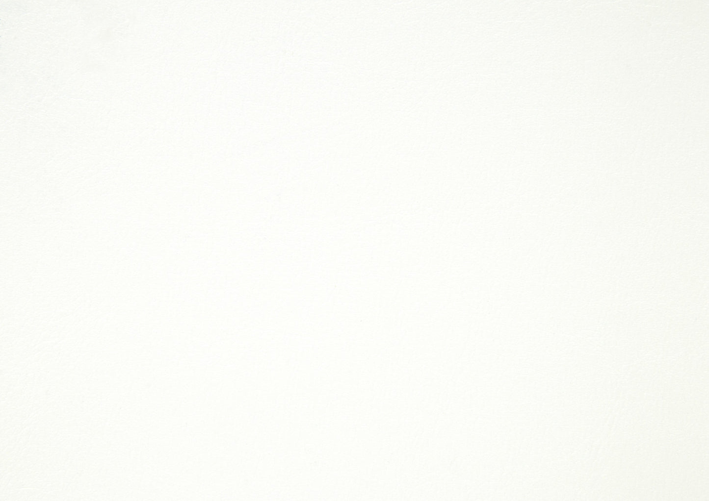 1519WH-1* - (2) Queen Bed