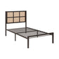 1635DZT-1 - Twin Platform Bed