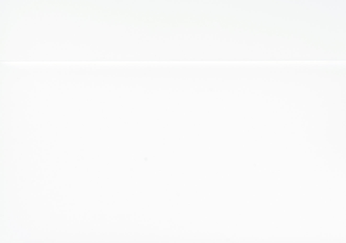 2147KW-1EK* - (2)Eastern King Bed