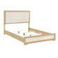 2330-1* - (2) Queen Bed