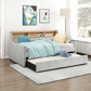 4989* - (3) Daybed with Trundle