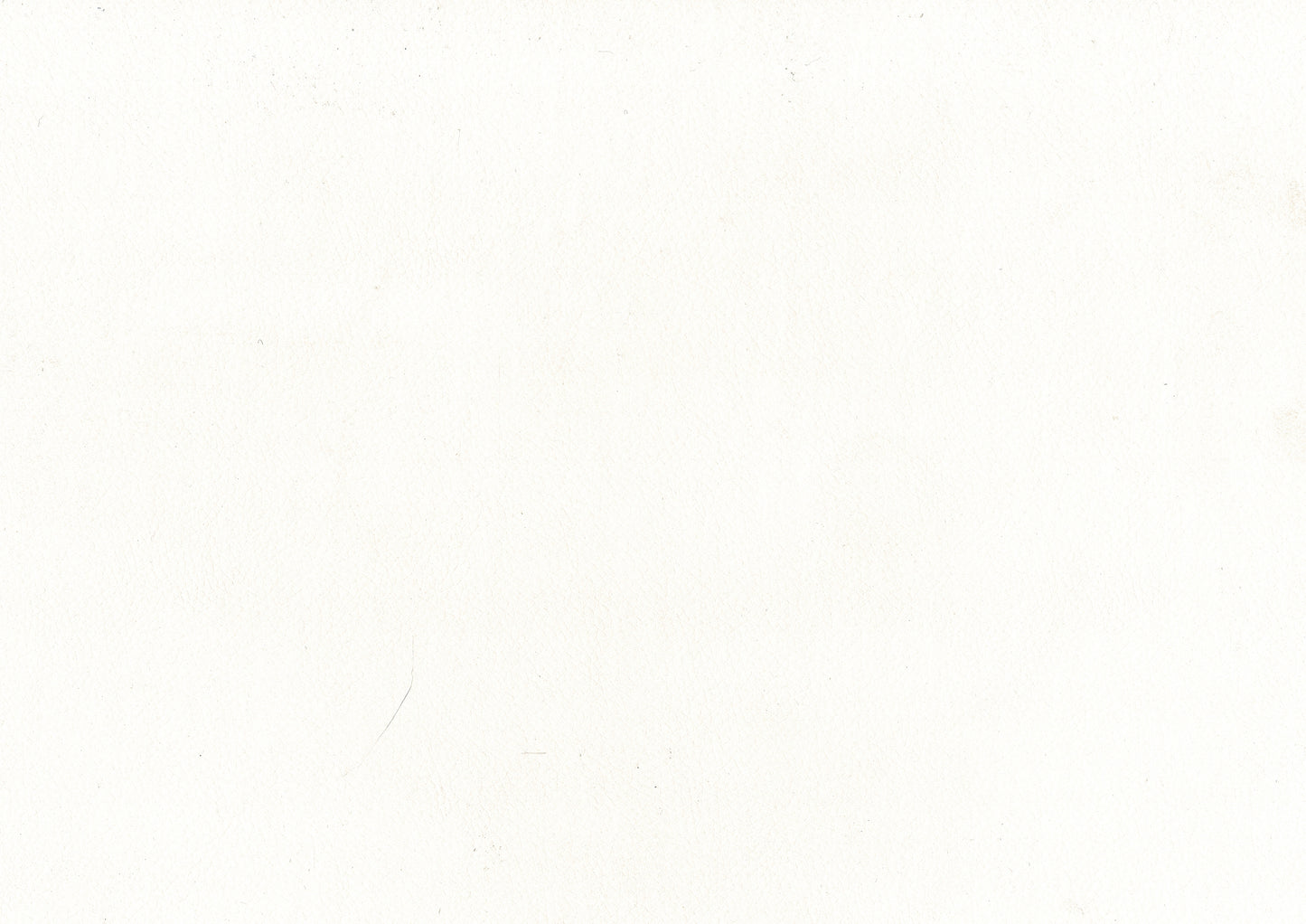 5565-24WT - Swivel Counter Height Chair